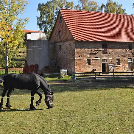 Casa vacanze Spacious In Hesse With Garden *
