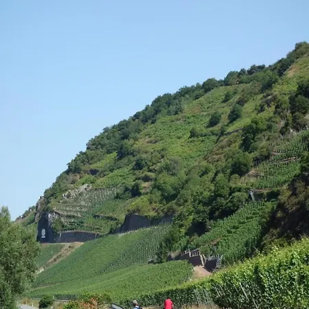 Geraeumiges In Hessen Mit Garten Prázdninový dům