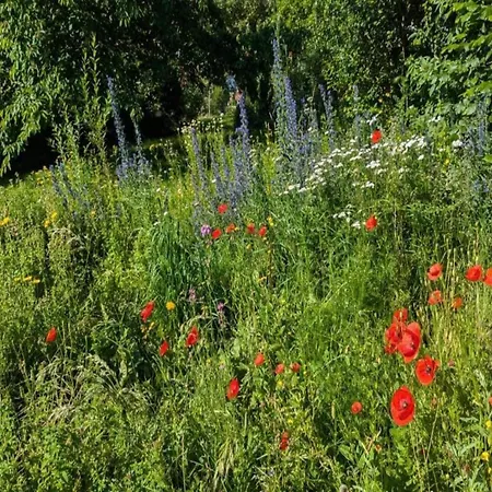 Geraeumiges In Hessen Mit Garten * Waldeck (Hessen)