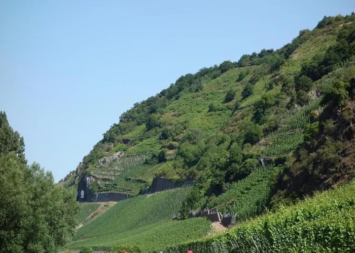 Geraeumiges In Hessen Mit Garten Сasa de vacaciones