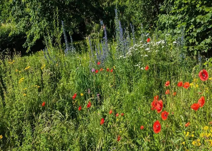Geraeumiges In Hessen Mit Garten * Waldeck (Hessen)